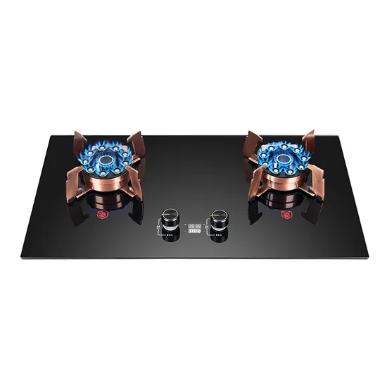 Flip Burner Tempered Glass Ridax Built-in Gas Hob Dual Brass Burner Rdx-Gh056 Gas Stove