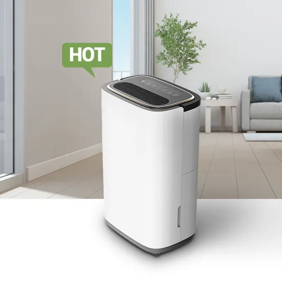 2022 New Design 10L/Day Air Home Dehumidifier for Hotel Office