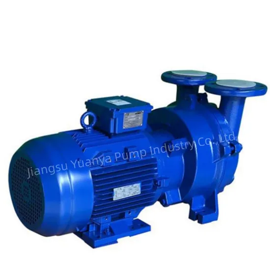 2BV5 Liquid Ring Vacuum Pump 2BV Water Ring Vacuum Pump