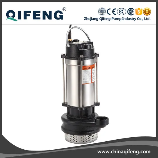 CE Passed Electric Stainless Steel Garden Submersible Water Pump (QDX)