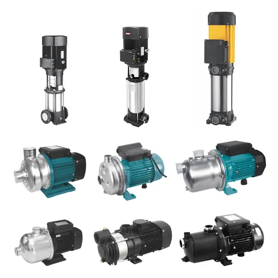 Wassermann Multistage Vertical Horizontal Stainless Steel Pumps Self Priming Jet Booster Water Pump
