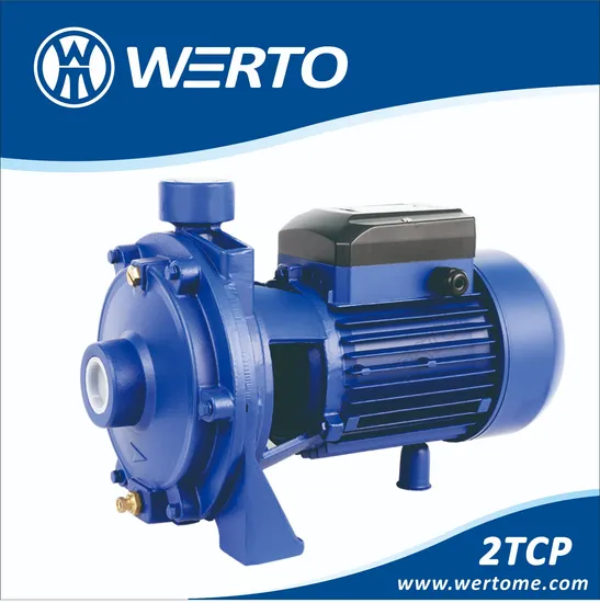 Werto 0.37kw 0.5HP TCP130 Industrial Centrifugal Pump