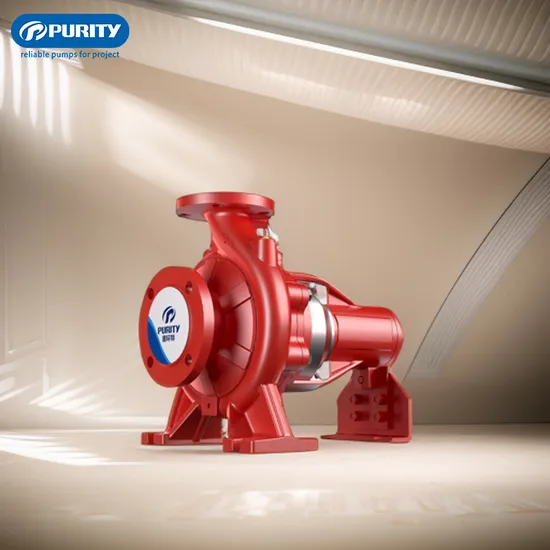 Purity Horizontal Electric Bare Shaft End Suction Centrifugal Water Pump