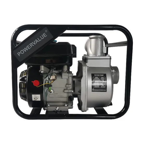 Power Value New Design Small Portable 2inch 2 Inch Gasoline Water Pump 6.5HP Wp20