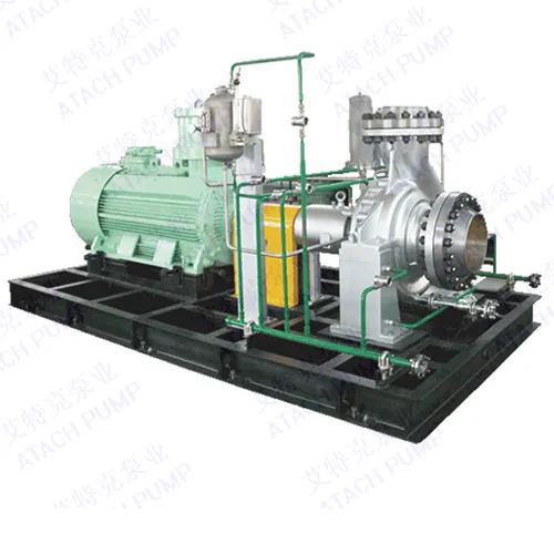 Ze (ZAG) 300-400 Petrochemical Process Pump API610 Oh1 Oh2 Centrifugal Horizontal Single Suction with Bergman Seal NSK Bearing Double Mechanical Seal Zlhg/Zlhw