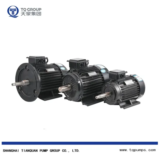 Ie3 Three Phase Squirrel Cage AC Asynchronous Induction Electric Motor 3000r/Min