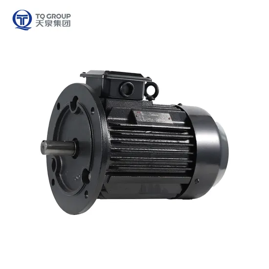 Ie4 Three Phase Squirrel Cage AC Asynchronous Induction Fan Motor for Pumps 1500r/Min 100HP
