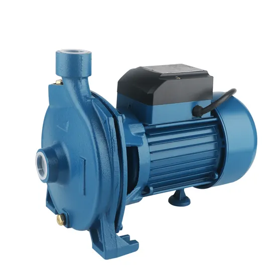 Cpm Factory Outlet Water Park 2.2kw 3HP Horizontal Stainless Steel Self Priming Water Centrifuge Pump