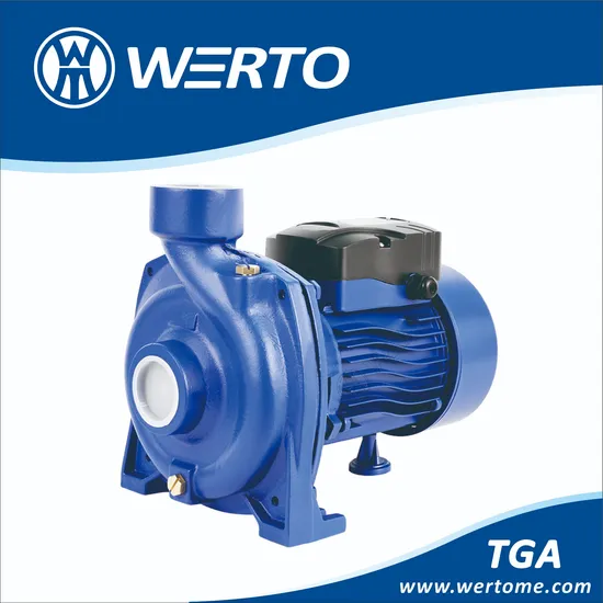 Werto 1.5inch 1HP Large Flow Solar Water Pump for Agricultural Use