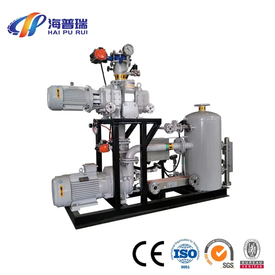 Roots Water Ring Vacuum Unit Roots Pump Main Front Pump