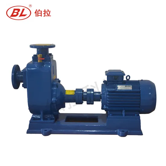 Suction Self Priming Jet Water Pump