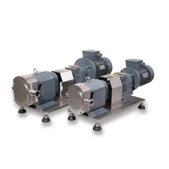 SS304 Sanitary Motor Rotary Lobe Pump for Liquid Transfer
