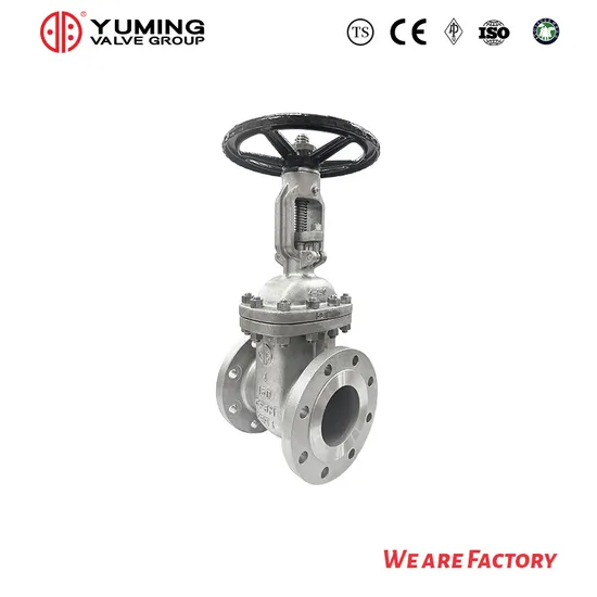 API Stainless Steel Rising Stem Gate Valve CF8/304