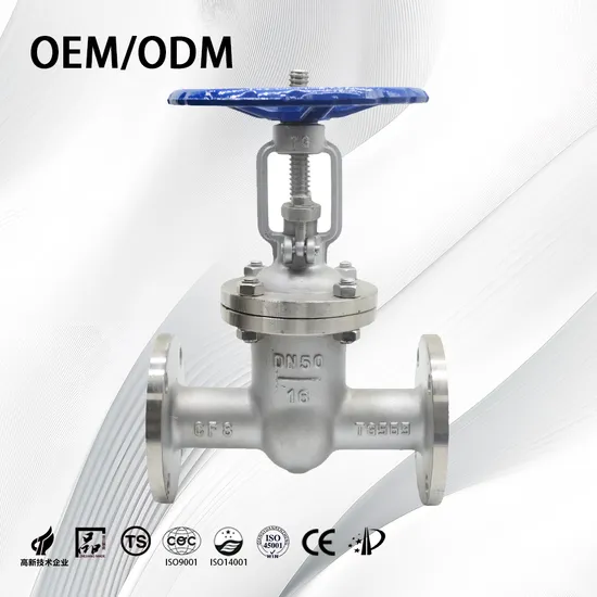 Stainless Steel Full Bore/Flow Control/Non-Retention Factory Supply Flange Gate Valve for Water/Air/Oil/Gas/Liquid