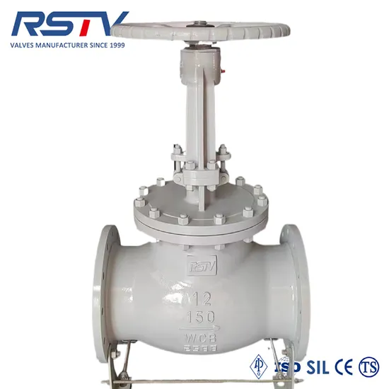 Brass European York Check Valve Pump Suction Valve
