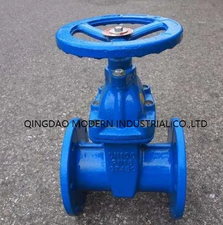 DIN Sanitary DN100/DN300 Pn16 Resilient Wedge Gate Valve for Water