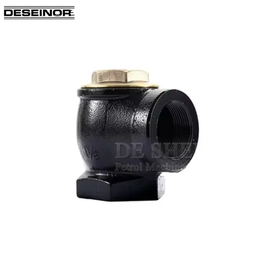 Fuel Station Iron Casting 1.5 Inch Angle Check Valve /Non-Return Valves
