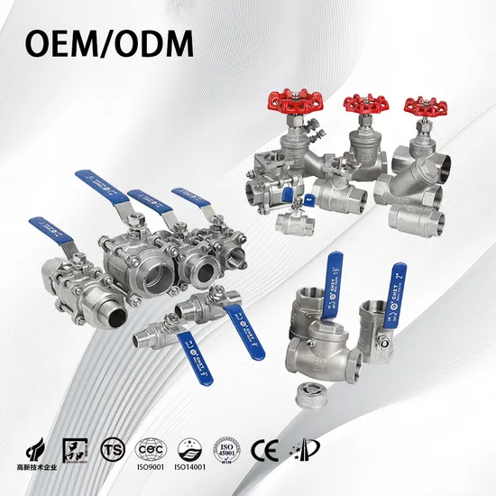 Stainless Steel OEM/ODM/Corrosion Resistant/Flow Control Non-Retention Globe/Check/Gate/Ball Valve for Water/Air/Oil/Gas/Liquid (ZT-FG0012)