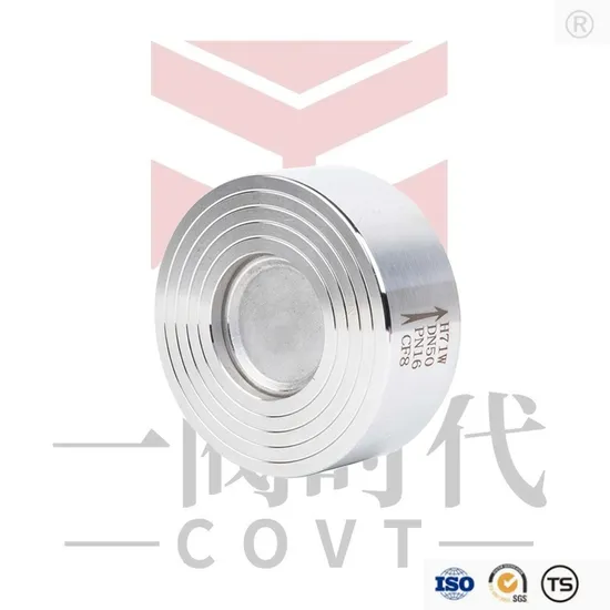 Stainless Steel Wafer Check Valve Pn16 Bright Finish CF8/CF8m Spring Disco Check Valve