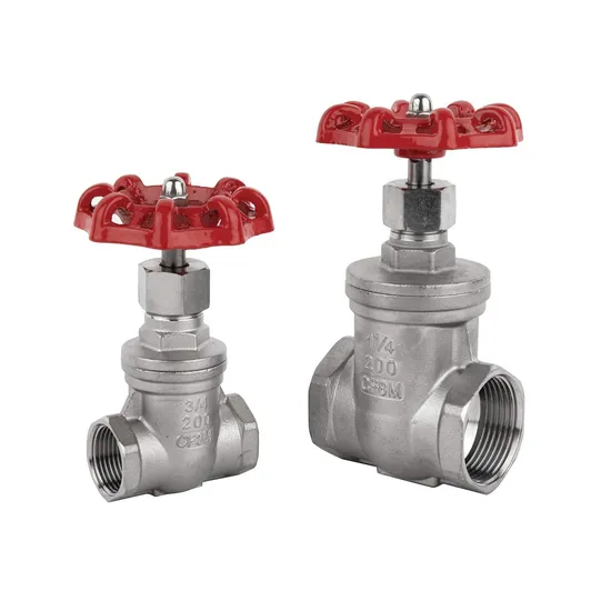 Stainless Steel CF8 Threaded Gate Valve 200wog