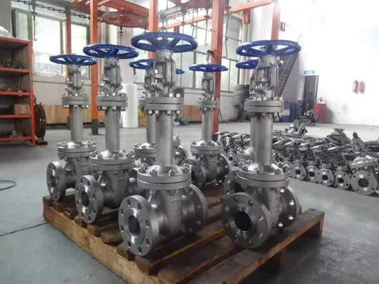 Stainless Steel Bellow Gate Valve