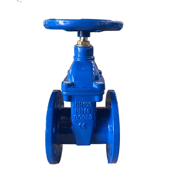 BS DN50-DN1000 Cast Iron Flanged Ductile Iron Gate Valve with Resilient Seat Check Valve Gate Valve Butterfly Valve Ball Valve