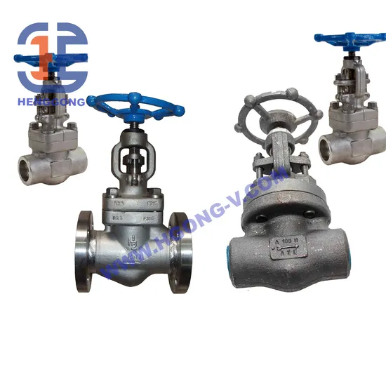 API/DIN Manufacturer A105 DN20 Class 800lb Pneumatic NPT Female Thread Oil Plant Forged Gate Valve