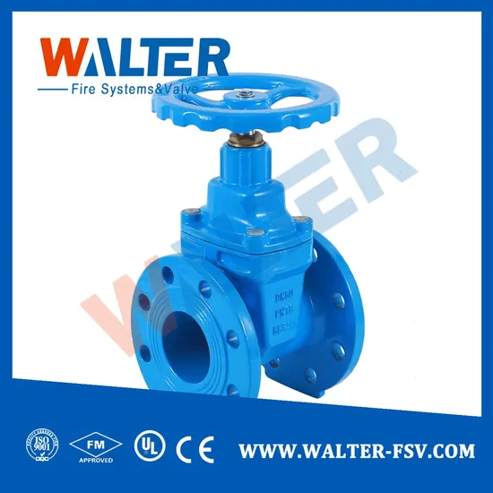 BS5163 Cast Iron Resilient Nrs Gate Valve