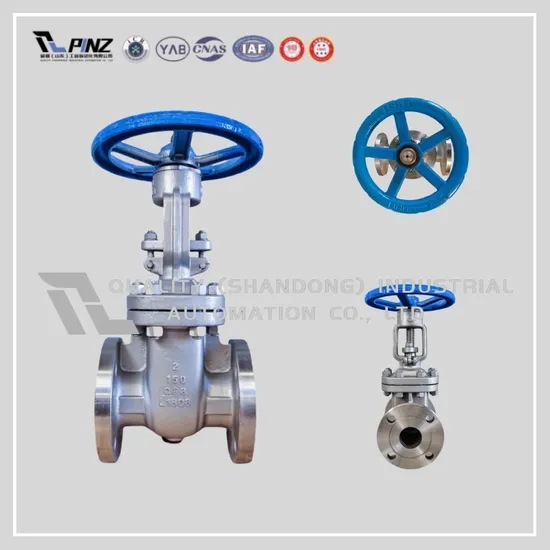 ANSI/API 6D/DIN/GOST Industrial Stainless Steel Flanged Gate Valve for High-Pressure Applications Durable Stainless Steel Gate Valve with Flanged Ends
