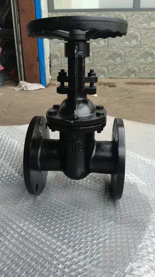 GOST Cast Iron Ht200 Brass Seated Wedge Gate Valve Z41t-10/16