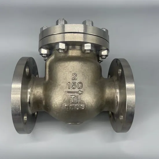 Duplex Steel Swing Check Valve API623 Class3003 ASME B16.34class 150# JIS10K