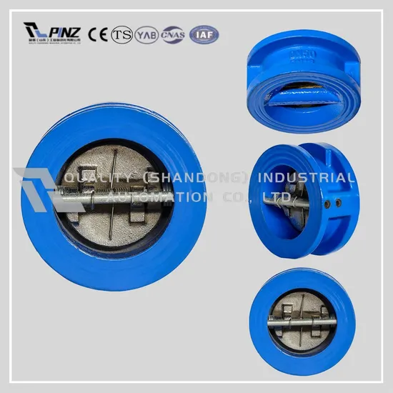 Wcb CF8 CF8m Cast Iron DN50 DN100 DN65 DN150 Flanged End Silencing Silent Check Valve