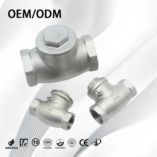 Stainless Steel Industrial/Customized Flow Control Wafer/Lug/Swing Non-Return Check Valve for Pipeline