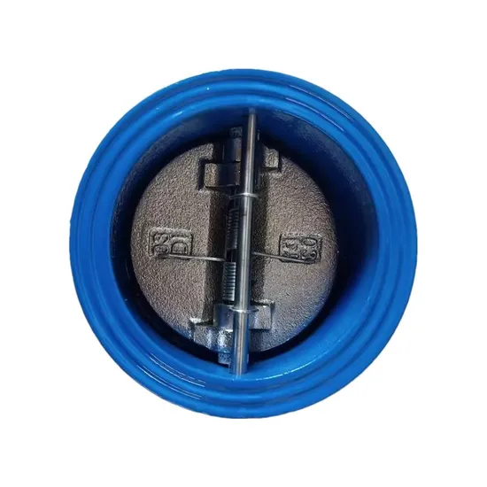 High Quality Non Return Valve (NRV) Wafer Type Check Valve/Swing Check Valve/Water Check Valve