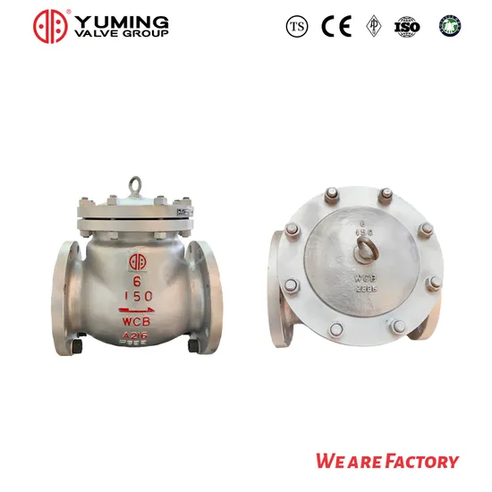 API Wcb Flange Cast Steel Swing Check Valve
