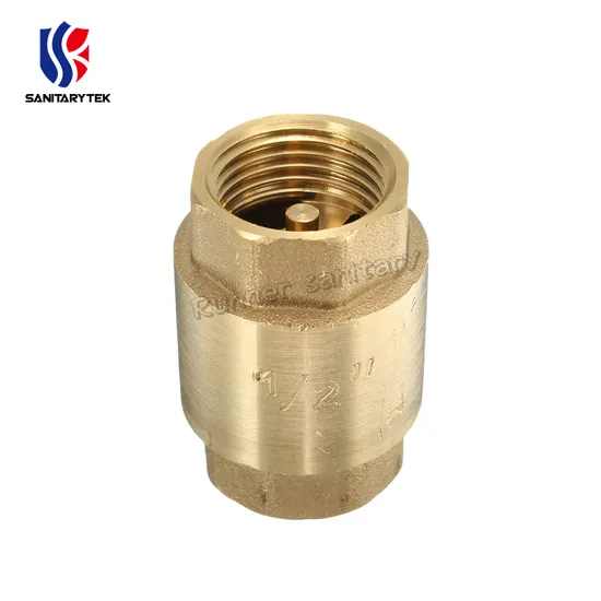 Brass Non Return Spring Check Valve with Brass Core