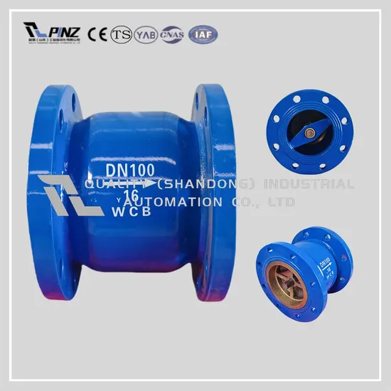 DN50 DN100 DN65 DN150 Premium Ductile Iron Silent Check Valve with Flange Connections for Compact Installations