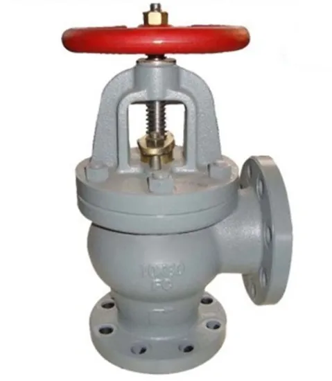 Angle Check Valve JIS F7354 Cast Iron Marine Valve 5K with High Quality
