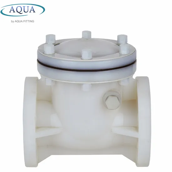 Industrial Wafer Type Plastic PVC PVDF Swing Type Check Valve