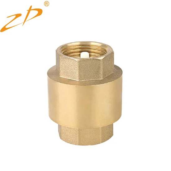 Chinese Manufacturer 2.5 Inch Brass Vertical Spring Check Foot Valve with Brass Filter