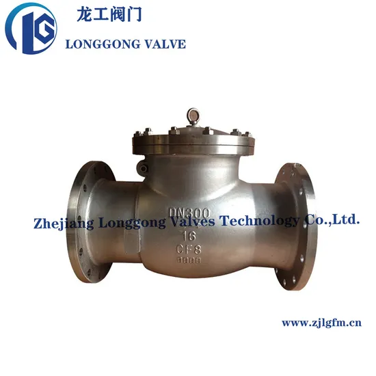 Wcb/CF8/CF8m Stainless Steel Spring Loaded Check Valve / Non Return Valve / Swing Check Valve Pn16-64