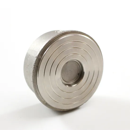 1" Pn 25 Stainless Steel Lift Check Valve Spring Check Valve Wafer Check Valve Nrv