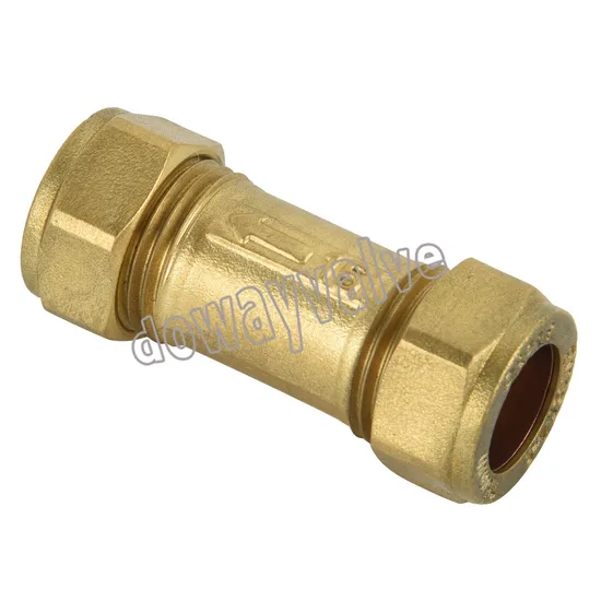 China Factory Custom Dzr Brass Double Non Return Check Valve