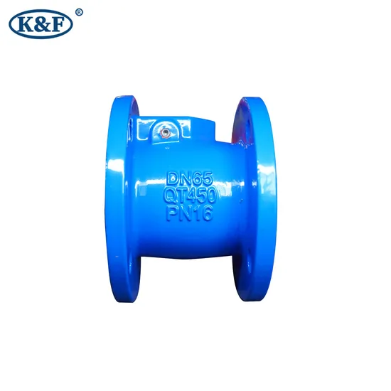 Kanaifu Blue DN65 Pn16 Dcutile Iron Electric Low Pressure Check Valve for Water Gas