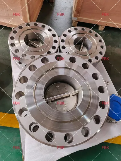 Nps 10 Class 2500 High Pressure Dual Plate Flange Type Check Valve