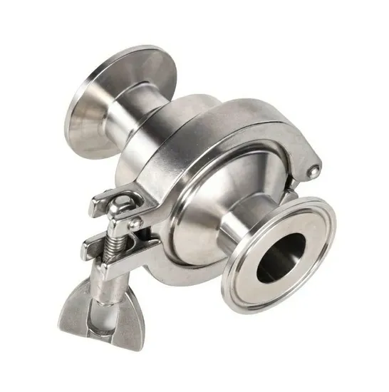 Sanitary Stainless Steel Non-Return Flap Valve Check Valve Back-Pressure Valve