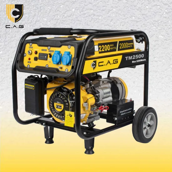 2000/2500/3000/3500 Watt Generator 110V/220V 60Hz Portable Power Generator