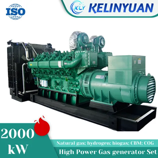 2MW 2000kw High-Efficiency Natural Gas Biomass Generator with 1000 Rpm Speed