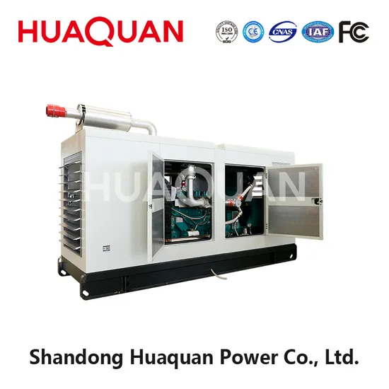 200kw Natural Gas/CNG/LNG Generator Silent Type Powered by 250kVA Weichai Engine