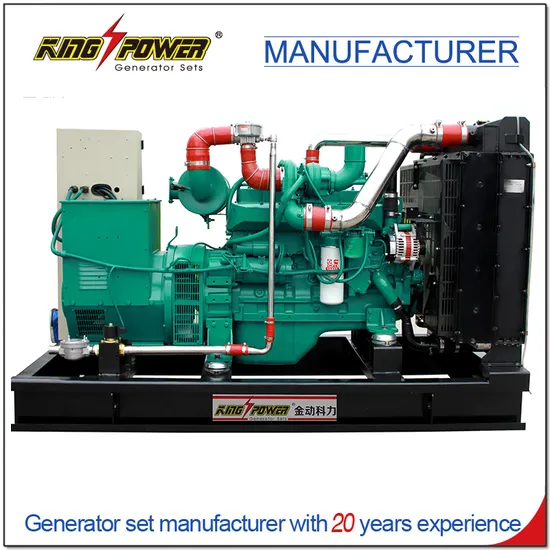 Hot Sale 100-800kw Pig/Cow/Chicken Farm Biogas Generator